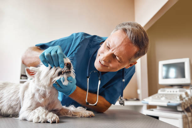 Best Emergency Treatment for Oral Infections in Weatherly, PA